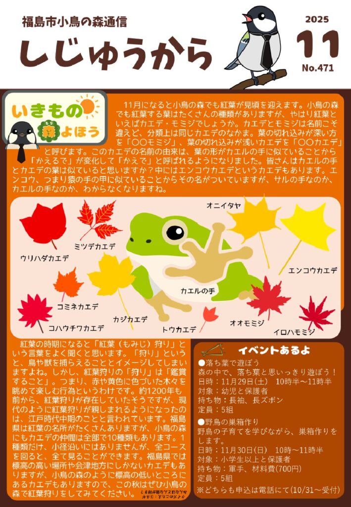 福島市小鳥の森 | バードウォッチング・里山体験教室・雑木林の調査と管理